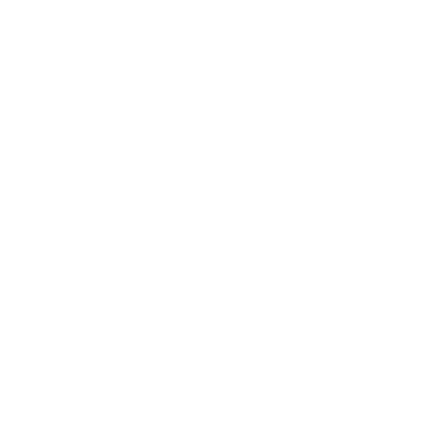 True Native Media